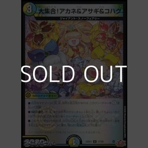 画像: 【U】大集合！アカネ＆アサギ＆コハク