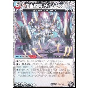 画像: 【黒トレジャーU】頂上龍素 サイクリタ