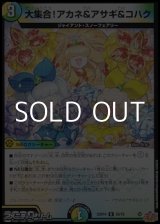 画像: 【U】大集合！アカネ＆アサギ＆コハク