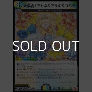画像: 【U】大集合!アカネ&アサギ&コハク