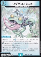 画像: 【C】ワダゲコノミコト