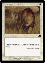 画像: ☆特殊枠【日本語Foil】サバンナ・ライオン/Savannah Lions