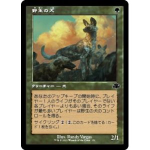 画像: ☆特殊枠【日本語】野生の犬/Wild Dogs