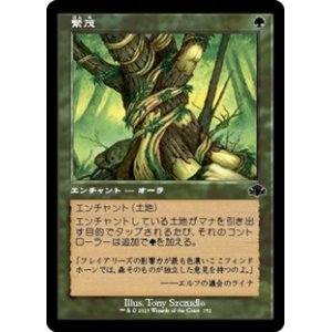 画像: ☆特殊枠【日本語】繁茂/Wild Growth
