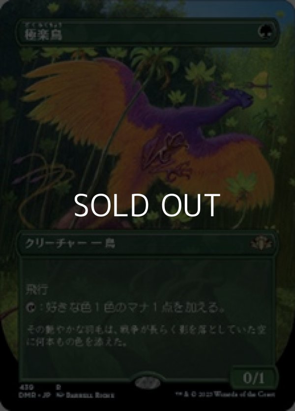 画像1: ☆特殊枠【日本語】極楽鳥/Birds of Paradise (1)
