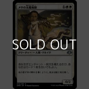 画像: 【日本語Foil】メサの女魔術師/Mesa Enchantress