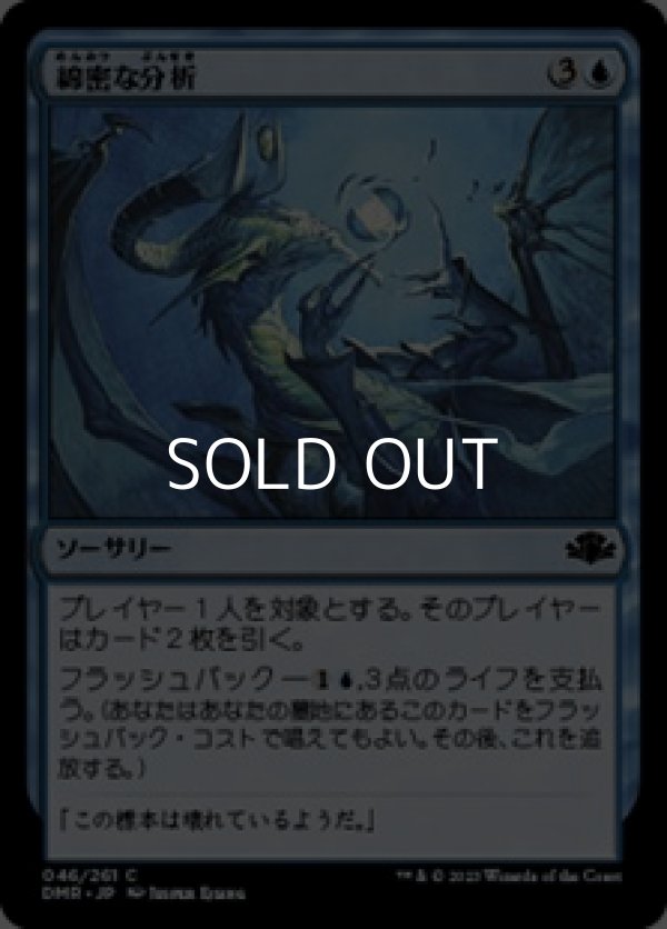 画像1: 【日本語】綿密な分析/Deep Analysis (1)