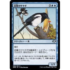 画像: 【日本語】泥棒カササギ/Thieving Magpie