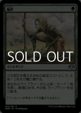 画像: 【日本語】輪作/Crop Rotation