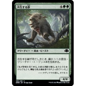 画像: 【日本語】共生する獣/Symbiotic Beast