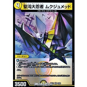 画像: 【VR】聖沌大忍者 ムクジュメッド