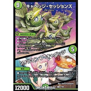 画像: 【R】キャベッジ・セッションズ／ソイルピンプ・キャベッジ
