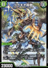 画像: 【SR】ブラキオ龍樹