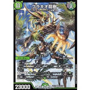 画像: 【SR】ブラキオ龍樹