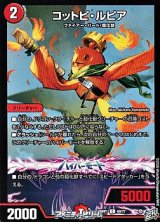 画像: 【C】コットピ・ルピア