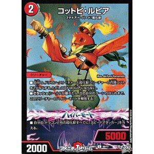 画像: 【C】コットピ・ルピア