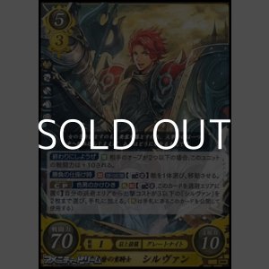 画像: 【HN】百戦錬磨の重騎士 シルヴァン