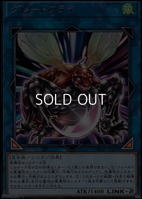 画像1: 【レア】グレートフライ (1)