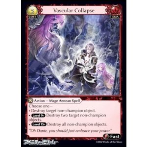 画像: 【EN】Vascular Collapse