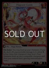 画像: 【EN】Flagrant Guide