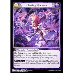 画像: 【EN】Chasing Shadows