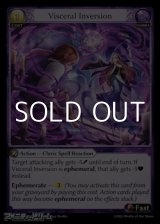 画像: 【EN】Visceral Inversion