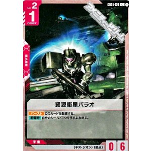 画像: 【C】資源衛星パラオ