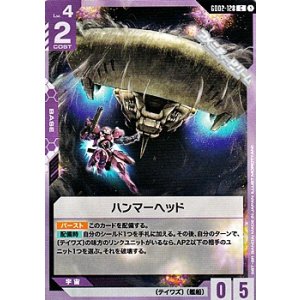 画像: 【C】ハンマーヘッド