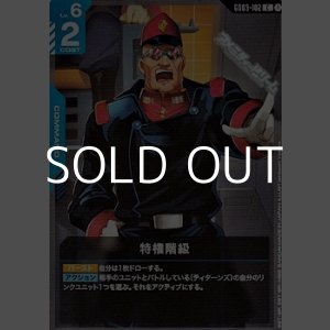 画像: 【C】特権階級