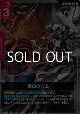 画像: 【R】戦技の向上