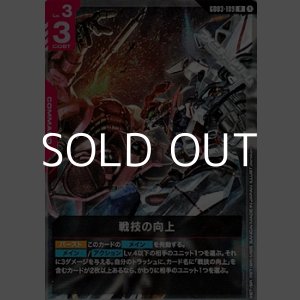 画像: 【R】戦技の向上
