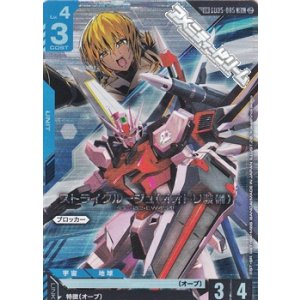 画像: 【パラレル】ストライクルージュ（オオトリ装備）