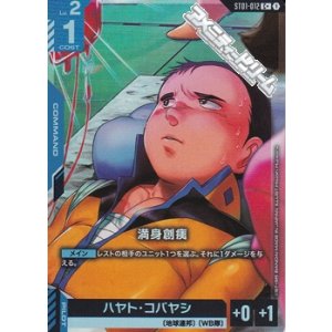 画像: 【パラレル】満身創痍