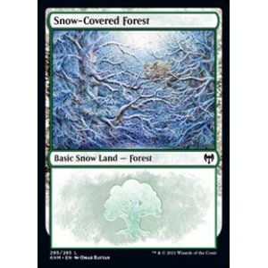 画像: 【英語Foil】冠雪の森/Snow-Covered Forest(No.285)