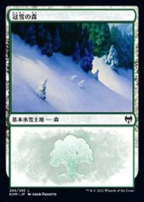 画像: 【日本語】冠雪の森/Snow-Covered Forest(No.284)