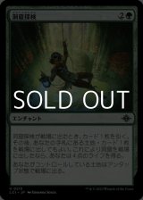 画像: 【日本語】洞窟探検/Spelunking