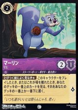 画像: 【コモン】マーリン リス