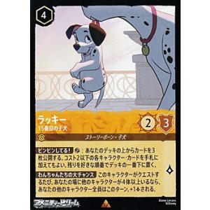 画像: 【レア】ラッキー 15番目の子犬