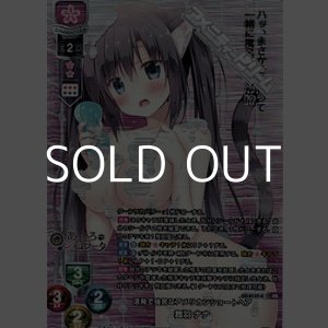 画像: 【KR】活発で強気なアメリカンショートヘア 舞羽 ナナ