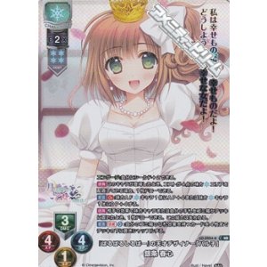 画像: 【KR】『ぱるぱるしるばー』の天才デザイナー「パル子」 銀条 春心