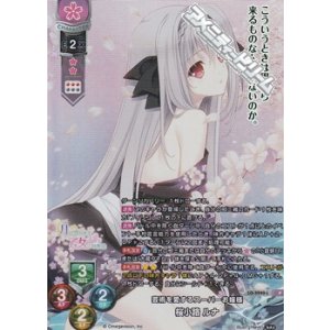 画像: 【P】芸術を愛するスーパーお嬢様 桜小路 ルナ