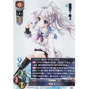 画像: 【SR】天真爛漫 新海 天
