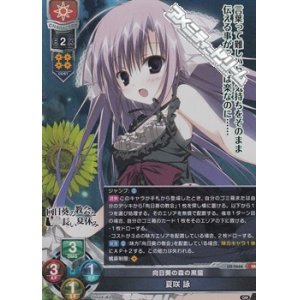 画像: 【SR】向日葵の森の黒猫 夏咲 詠