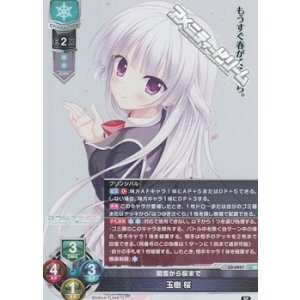画像: 【SR】初雪から桜まで 玉樹 桜