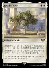 画像: 【日本語Foil】白の木に花開く/Flowering of the White Tree