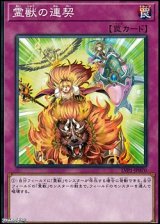 画像: 【ノーマル】霊獣の連契