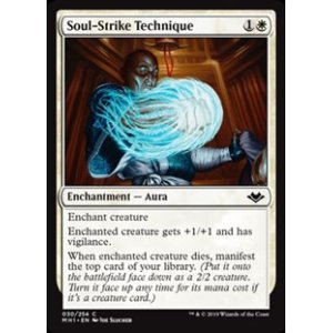 画像: 【英語】魂拳の技/Soul-Strike Technique