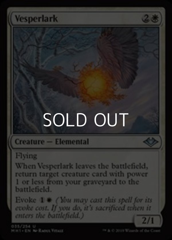 画像1: 【英語】夕暮れヒバリ/Vesperlark (1)