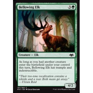 画像: 【英語】吼える大鹿/Bellowing Elk