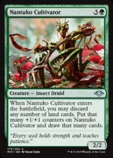 画像: 【英語】ナントゥーコの養成者/Nantuko Cultivator